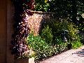 gal/holiday/Yeovil Area 2007 - Tintihull Gardens/_thb_Tintinhull_Gardens_P1010021.jpg